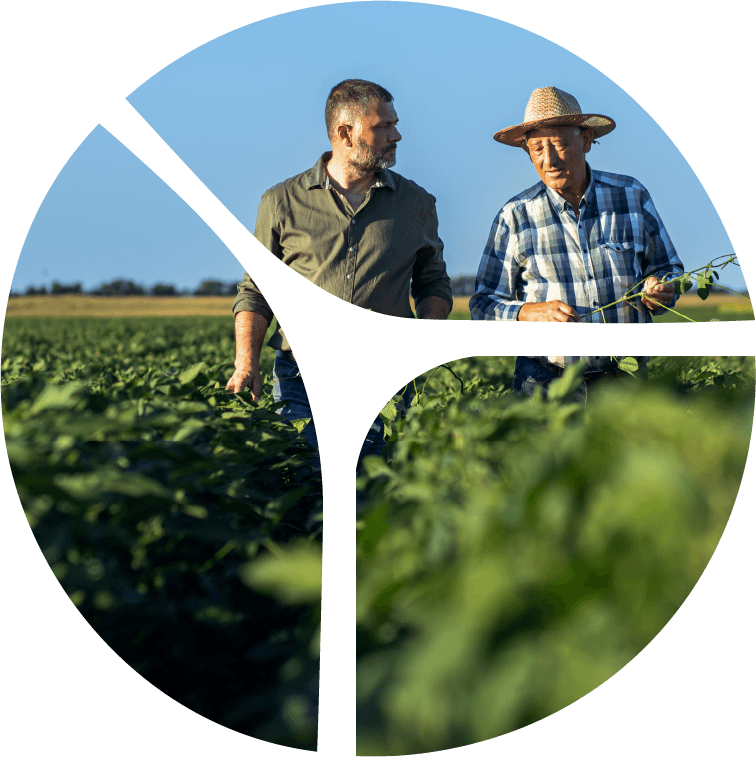 Get in touch with us today to discuss how our procurement experts can drive your business to its peak performance.